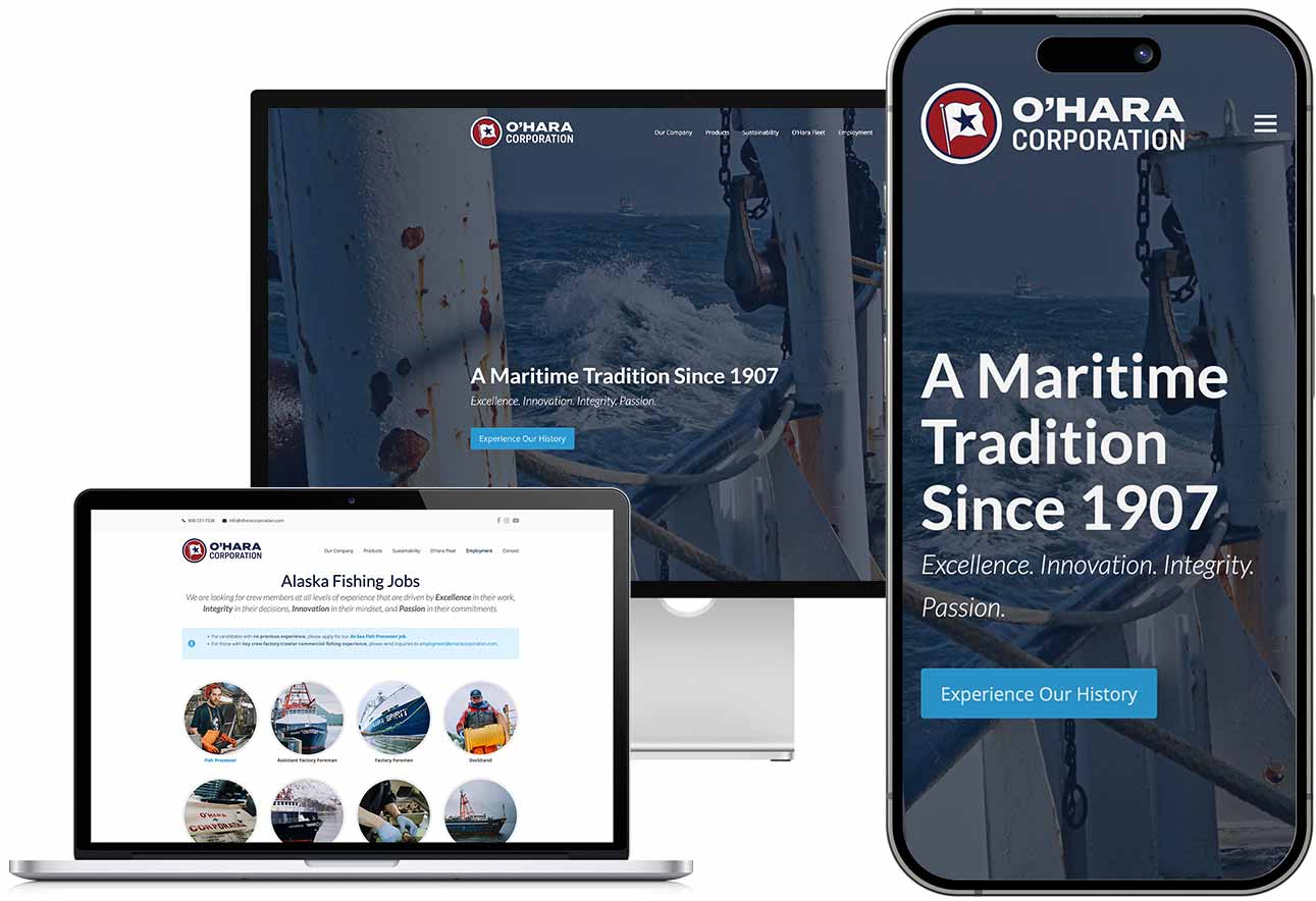 responsive wordpress website